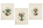 Комплект полотенец из 3 шт., арт. 22С145-ШР+К/п.р/фкор, р-р 45*60, с. 1, рис. 388, цв. 1